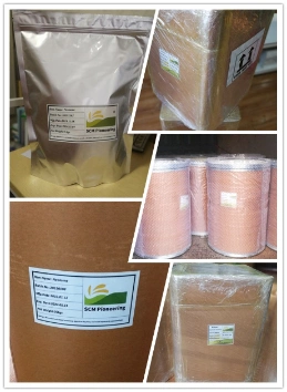 Monk Fruit Extract Mogroside V 50%