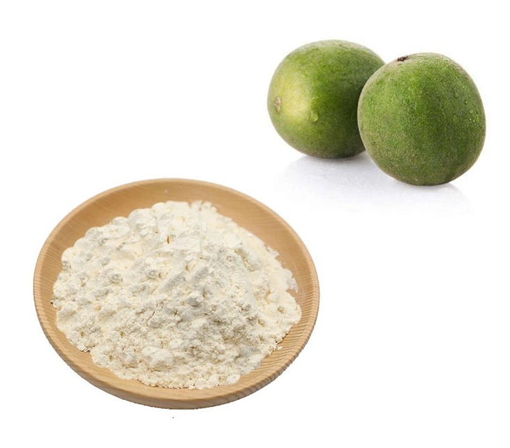 Sweetener Mogroside V 25% Monk Fruit Extract Yellow-White to Brown Fine Powder Tlc Sweet with Slight Herbal Taste