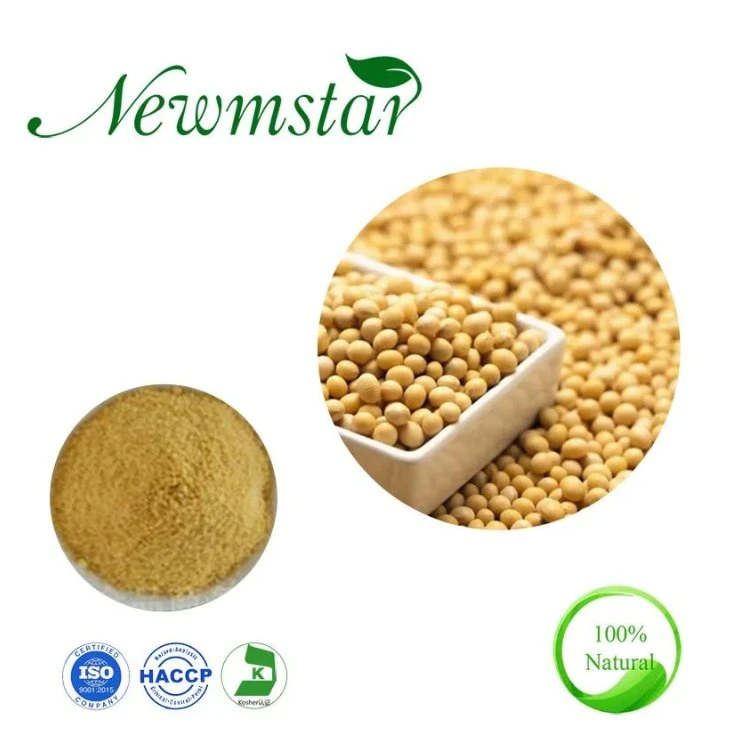 Monk Fruit Powder Monk Fruit Extract Luo Han Guo Extract for Food Additive