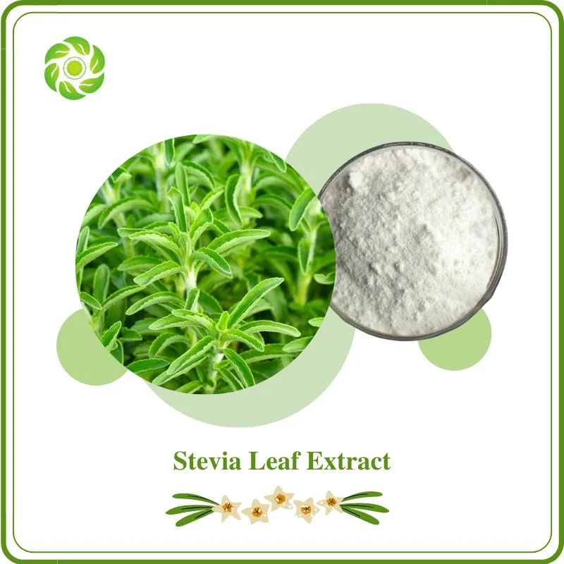 Zero Calorie Sugar Substitute Natural Stevia Leaf Extract Stevia Reb-a 97% 98% Stevia Sugar Stevia Leaves Extract Stevioside Natural Sweetener