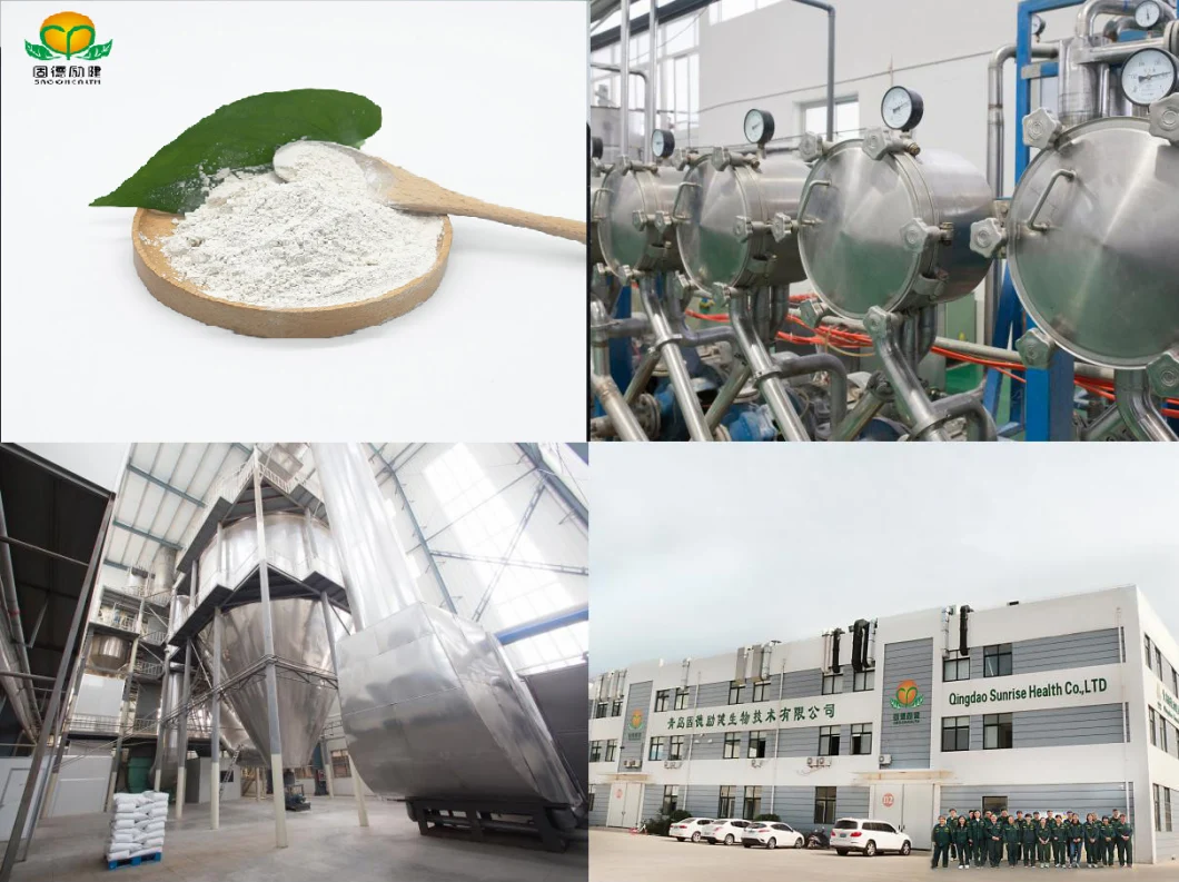 GMP Factory Supply Organic Stevia Extract