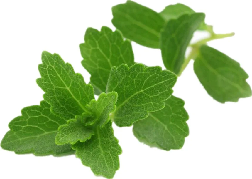 Zero Calorie Organic Stevia Leaf Extract 99% Stevioside