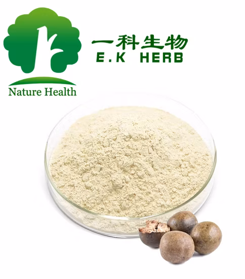 Organic Monk Fruit Extract Powder Natural Herbal