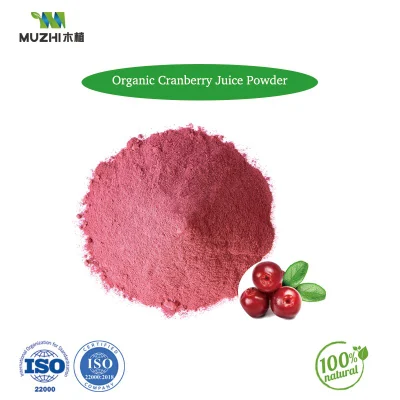 100% Organic Monk Fruit Extract Powder Sweetener Mogroside Monk Fruit Extract