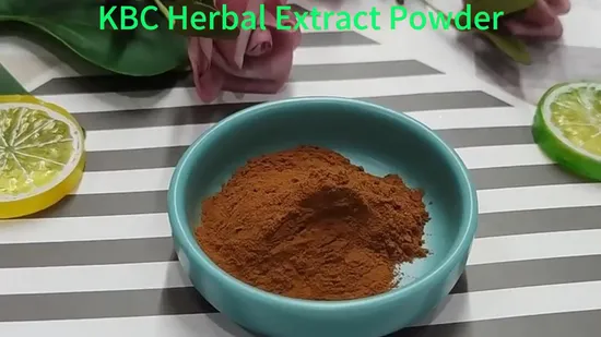 Factory Wholesale Price Pure Monk Fruit Powder Monk Fruit Juice Powder Organic Monk Fruit Powder