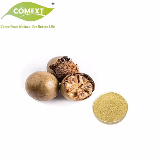 China Manufacturer Sweetener Organic Monk Fruit Extract